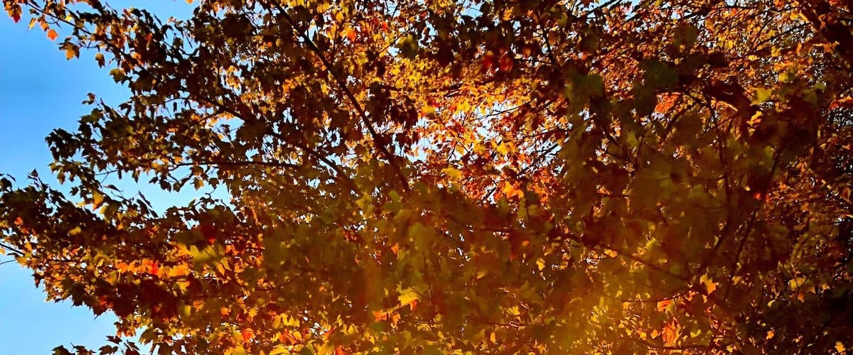 Sunset at Knox Farm #greatoutdoors