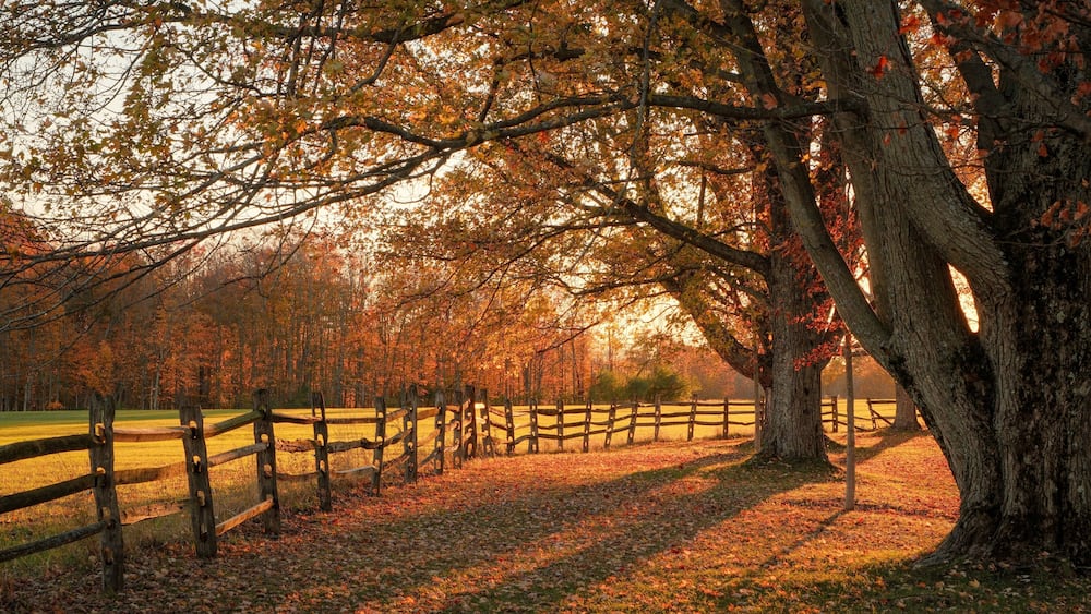 Autumn color at Knox Farm State Park, East Aurora, New York