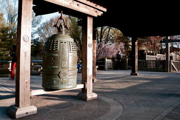 Kariya Park is located in the heart of the city of Mississauga, it is a serene green space featuring Japanese-inspired gardens, walkways, structures, and a duck pond.
#Canada #Mississauga #Ontario #pond #JapaneseGarden #park #Cherry #Sakura #bell #LikeALocal