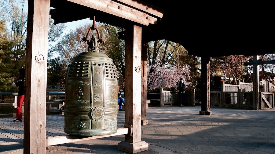 Kariya Park is located in the heart of the city of Mississauga, it is a serene green space featuring Japanese-inspired gardens, walkways, structures, and a duck pond.
#Canada #Mississauga #Ontario #pond #JapaneseGarden #park #Cherry #Sakura #bell #LikeALocal