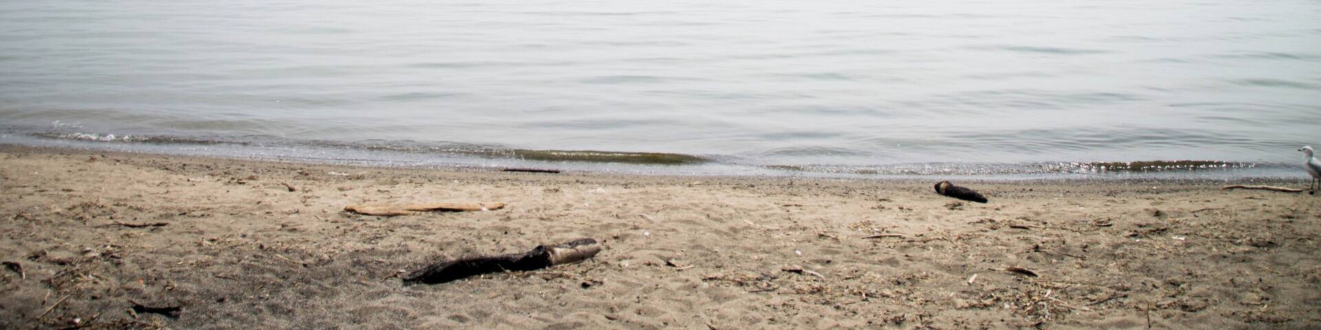 perfect spot on gloomy days!