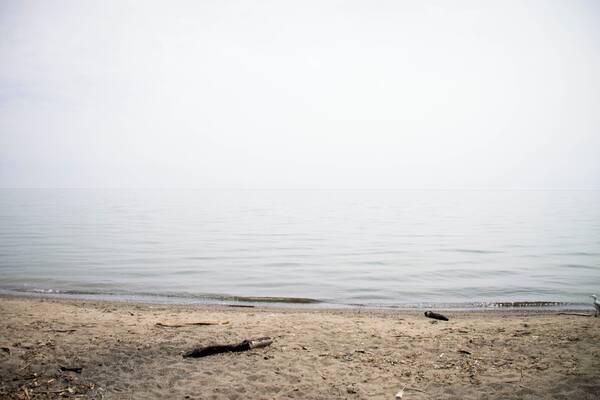 perfect spot on gloomy days!