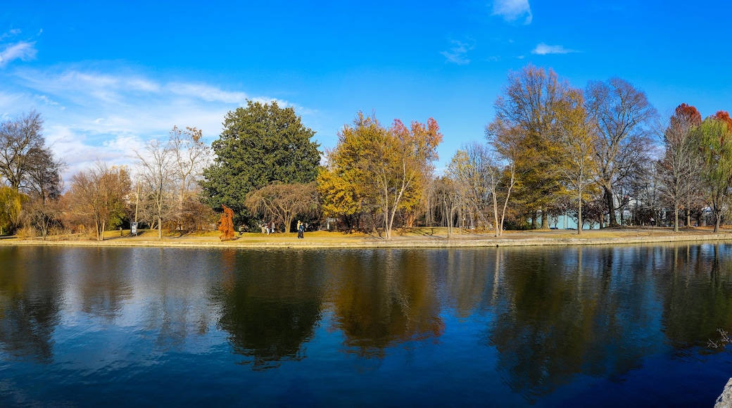 a stunning panoramic shot of the blue waters of the lake in the park surrounded by gorgeous autumn colored trees reflecting off the lake with blue sky at Centennial Park in Nashville Tennessee USA