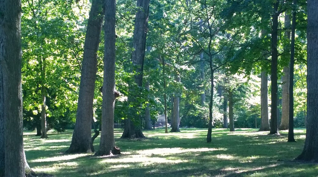 Located in Fremont, Ohio, the Rutherford B. Hayes Presidential Center comprises the Rutherford B. Hayes Museum and Library and Spiegel Grove, a wooded estate encompassing the Hayes home, residence to several generations of the Hayes family. Opened in 1916, the Rutherford B. Hayes Center Library was the first presidential library and one of only three for a 19th-century president.