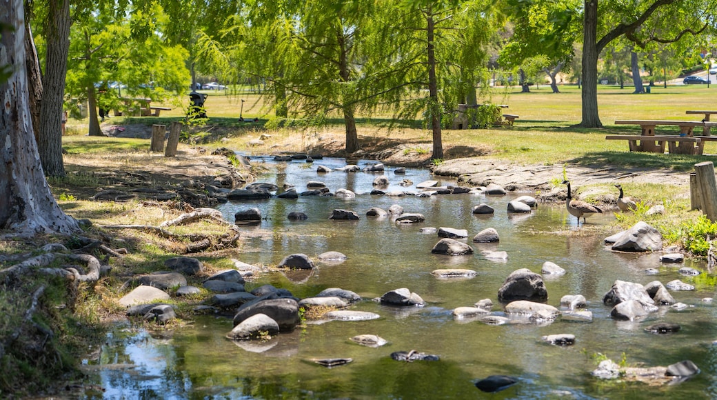 Beautiful view of the creek in Fremont Central Park