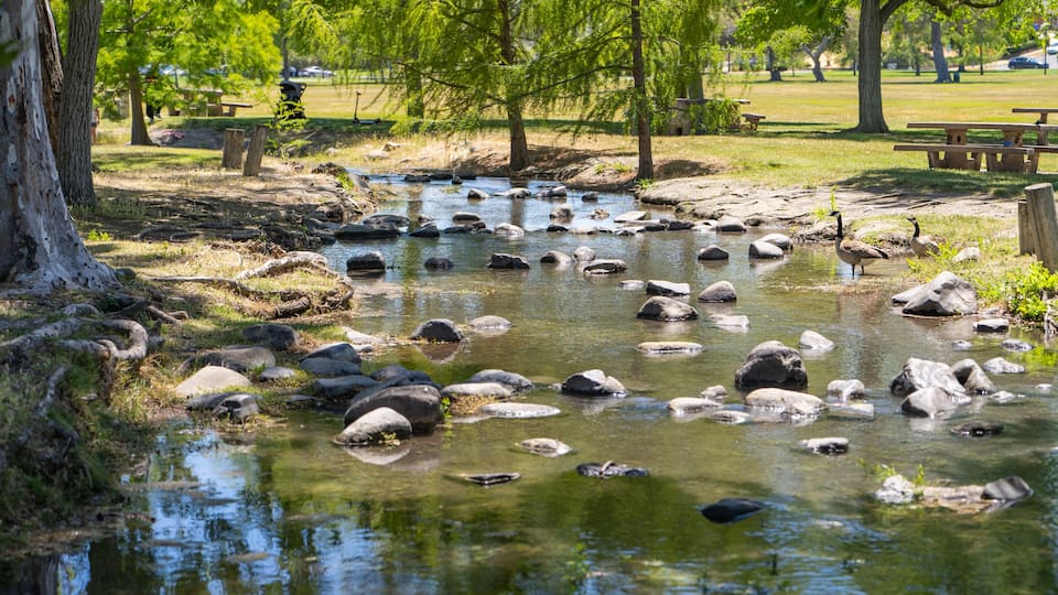 A calm stream with rocks, trees, and picnic tables in a park.