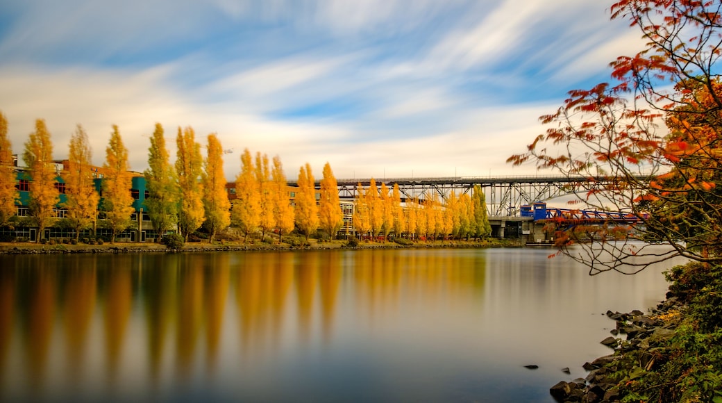 A calm river with autumn trees reflecting in the water, a bridge, and a train passing by.