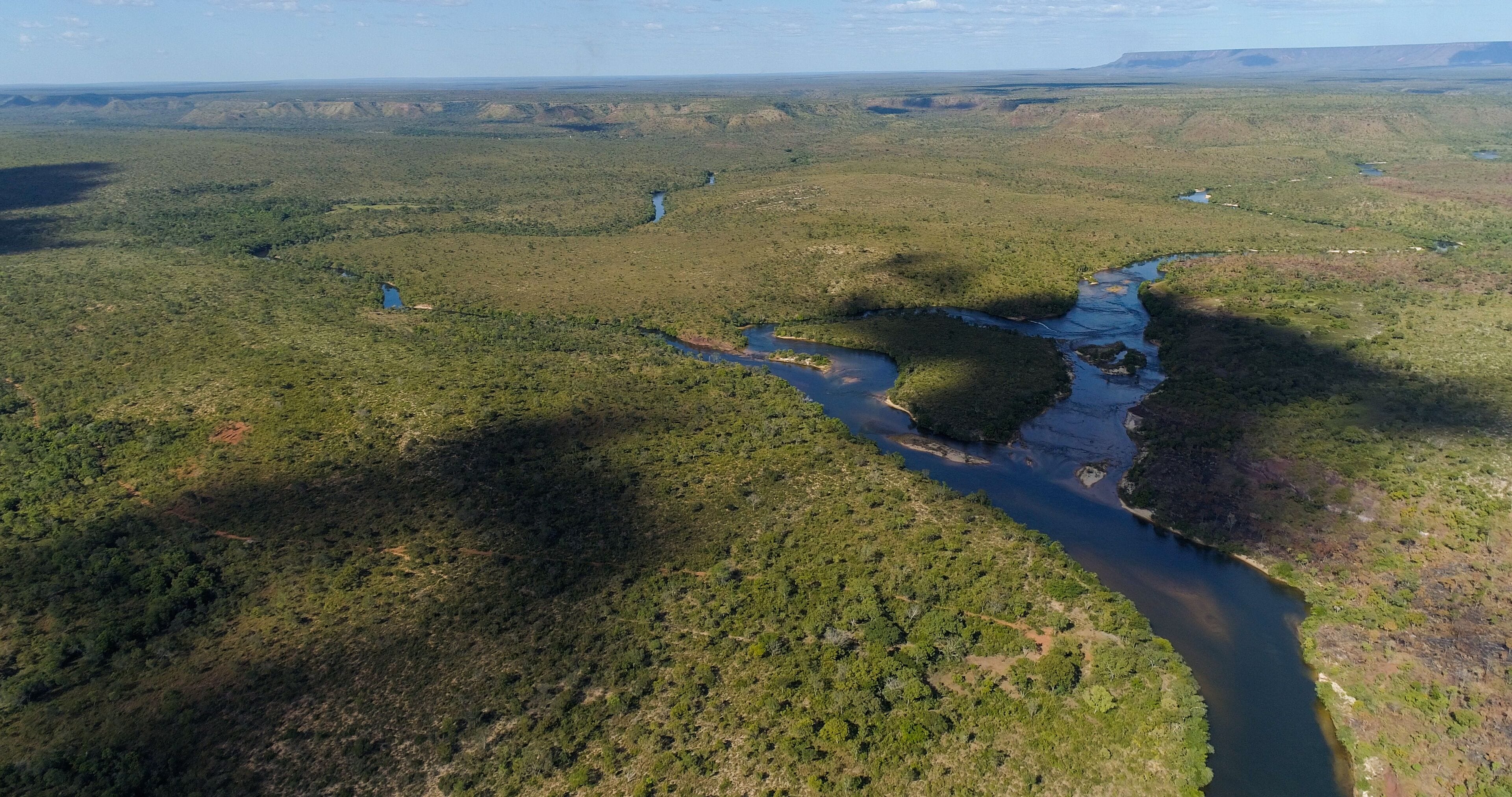 A river winding through a dense forest with a mountainous backdrop.