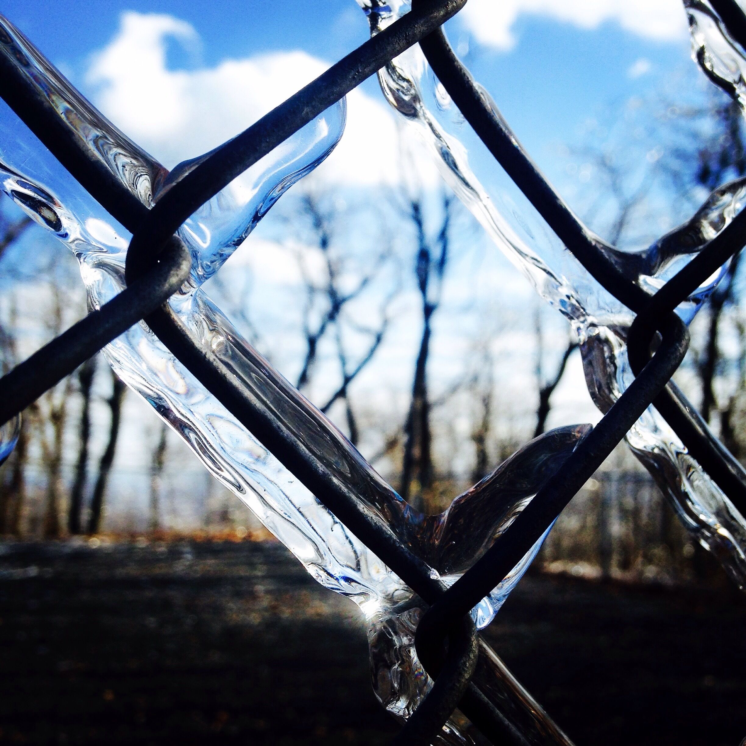 A close-up of a metal fence with a blurred background of leafless trees and a blue sky.