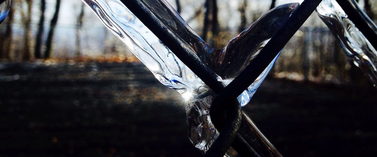 A close-up of a metal fence with a blurred background of leafless trees and a blue sky.