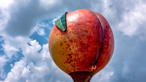 Peachoid Peach Water Tower in Gaffney South Carolina SC along Interstate 85.