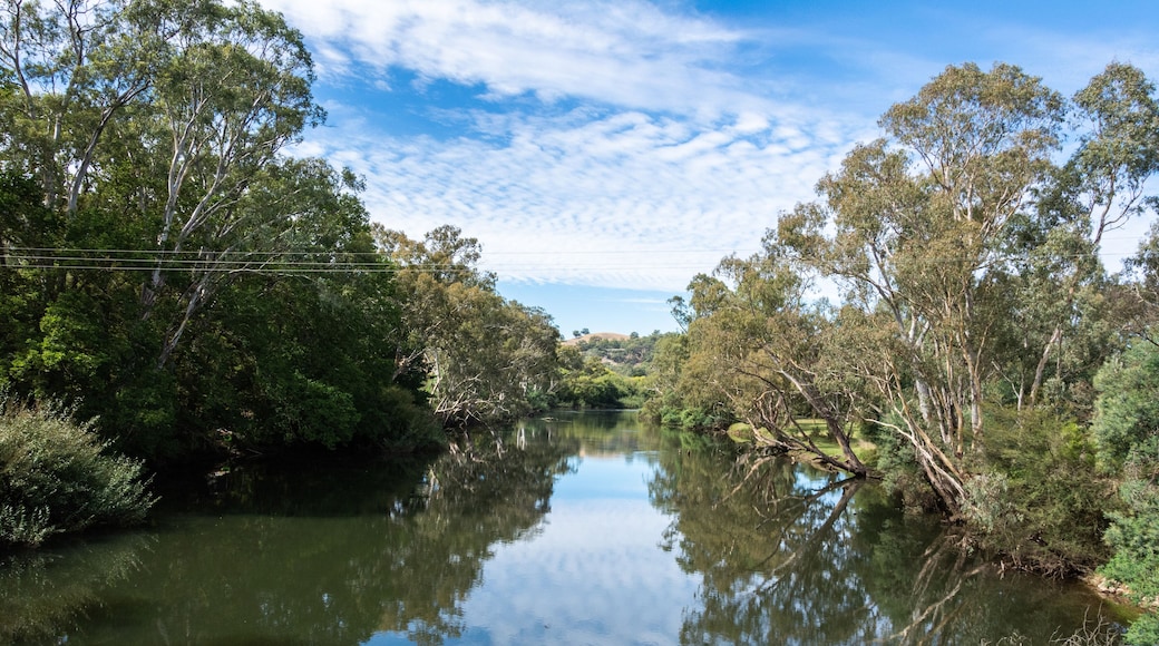 View over Goulburn River near Alexandra, Victoria, Australia.