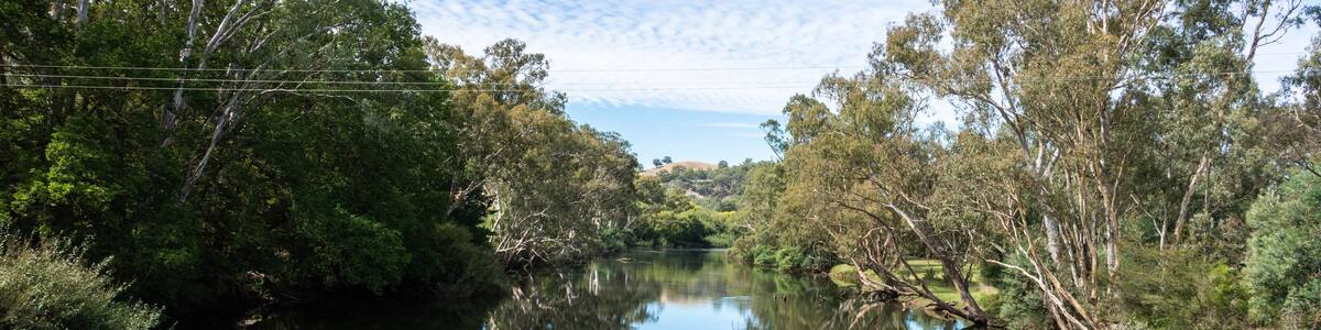 View over Goulburn River near Alexandra, Victoria, Australia.