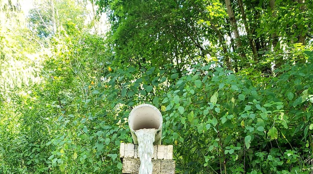 Thirst quenched by this amazing natural spring in PA. We were able to fill up all of our containers before trekking to Niagara Falls.
#adventure