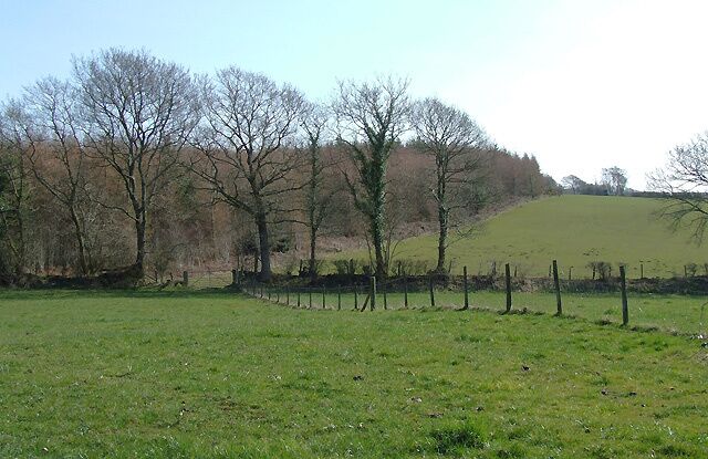 Pasture north of Llangybi, Ceredigion. The public footpath from Llwyn-y-Groes goes through the gate at the corner of the field and up the side of the plantation towards Cilgwyn Uchaf farm. The forest was owned by the Forestry Commission and local people were able to walk freely in it. Now, a private buyer has "sealed it off" and placed fierce notices at entrances. 1220220 The field eyond the gate is used to grow silage grass, but following the cold winter, moles are causing problems which can contaminate the crop.