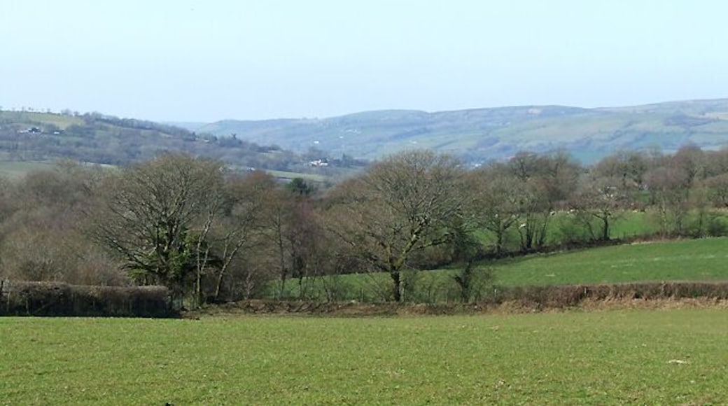 Farmland north-west of Llangybi, Ceredigion The field in the foreground is used to grow grass for silage, but is being plagued by moles, apparently, according to the very chatty landowner.