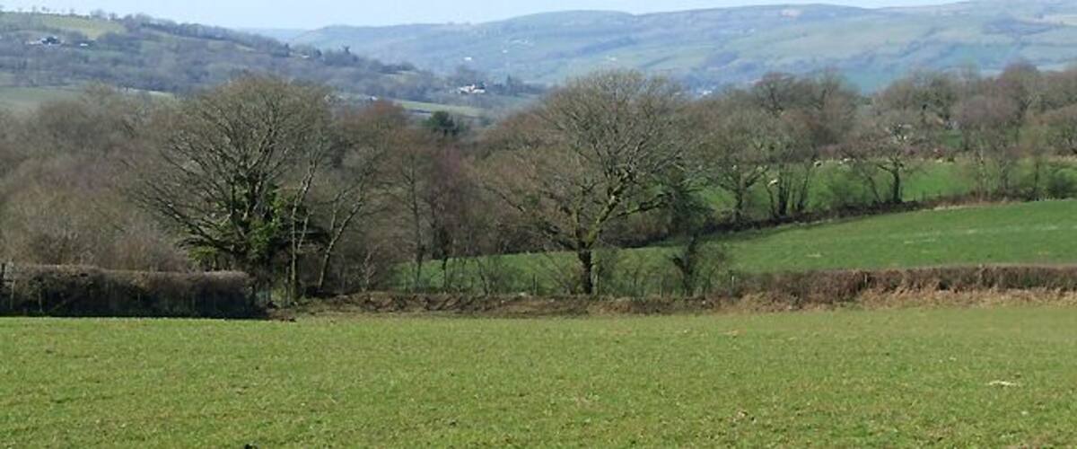 A rural landscape with rolling hills, scattered trees, and a clear sky.