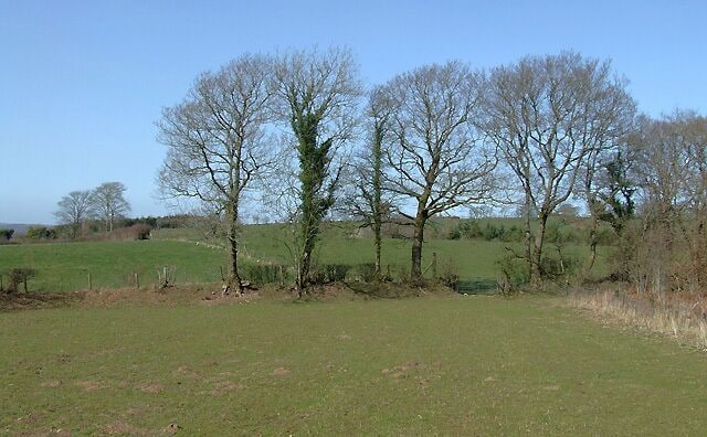 Farmland south-east of Llwyn-y-Groes, Ceredigion. This field is used primarily for silage grass. Moles have been a problem recently following the cold winter. The public footpath across the fields to Llyn-y-Groes goes through the gate and off to the right in the next field. The corner of the "forbidden forest" is on the right. 1220220