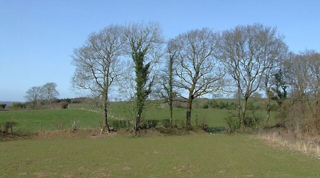 Farmland south-east of Llwyn-y-Groes, Ceredigion. This field is used primarily for silage grass. Moles have been a problem recently following the cold winter. The public footpath across the fields to Llyn-y-Groes goes through the gate and off to the right in the next field. The corner of the "forbidden forest" is on the right. 1220220
