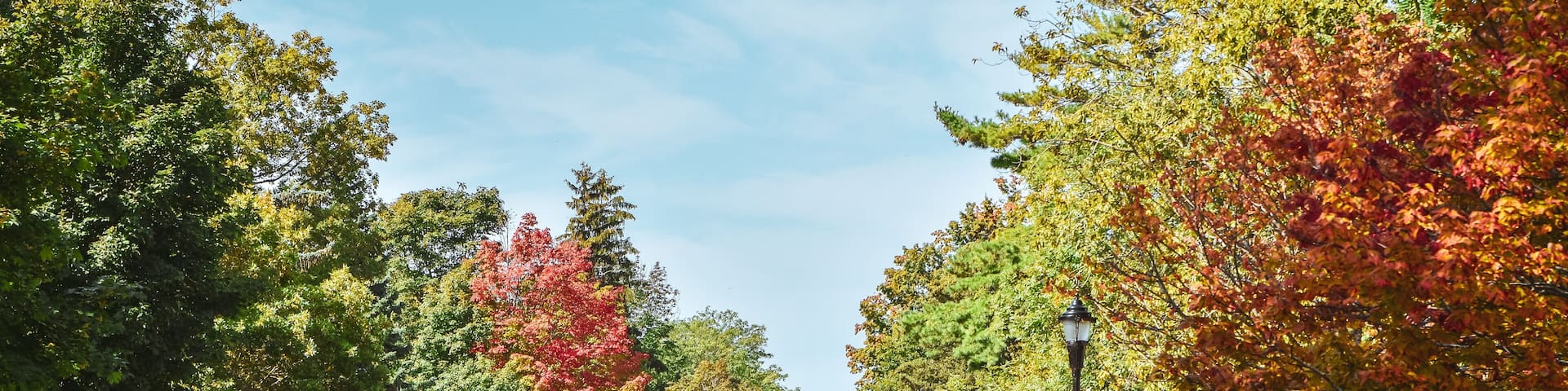 Road through trees with autumnal colors on a sunny autumn day. Gananoque, Canada.