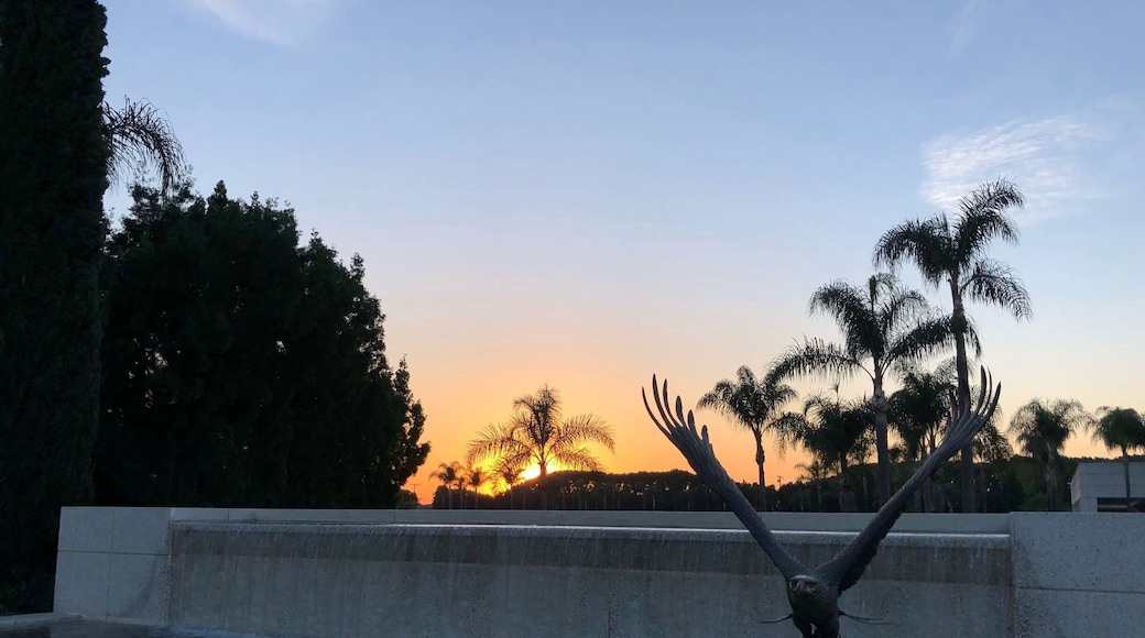 Beautiful sunset tonight