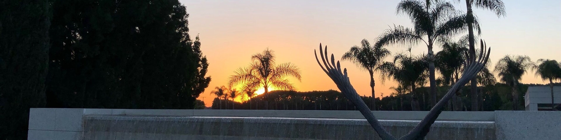 Beautiful sunset tonight