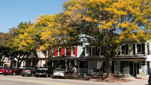 E819M0 Geneseo NY USA.. Image shot 2014. Exact date unknown.