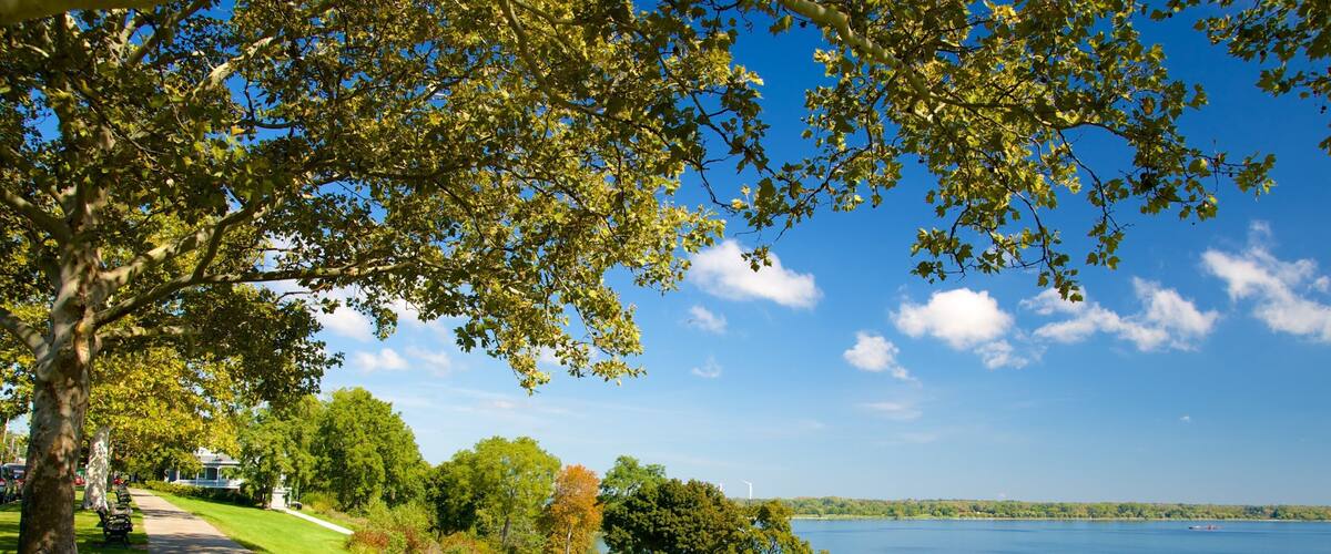 A lakeside path with trees and a bench, overlooking a calm lake with a distant shoreline.