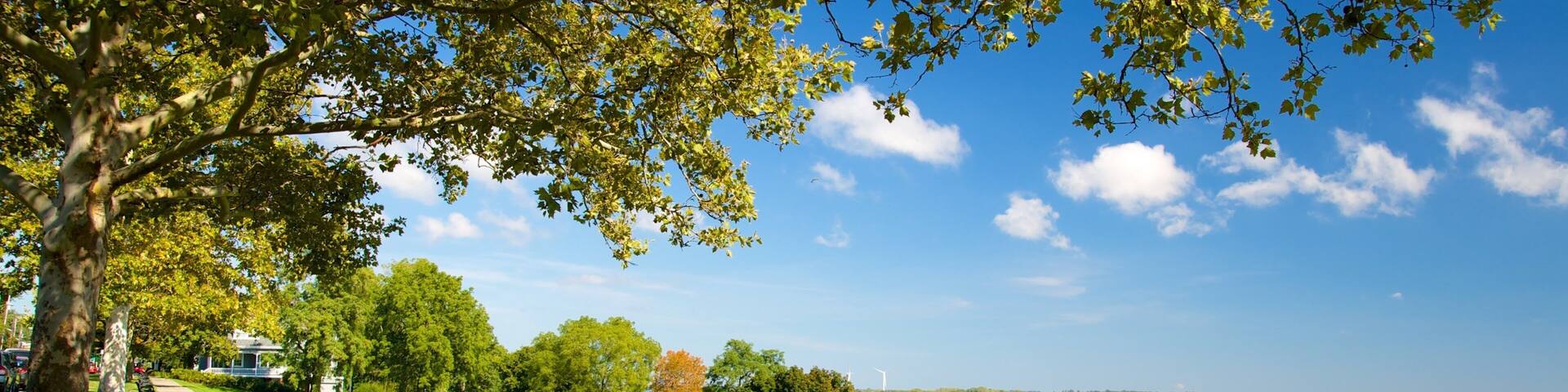 Geneva which includes tranquil scenes and a lake or waterhole