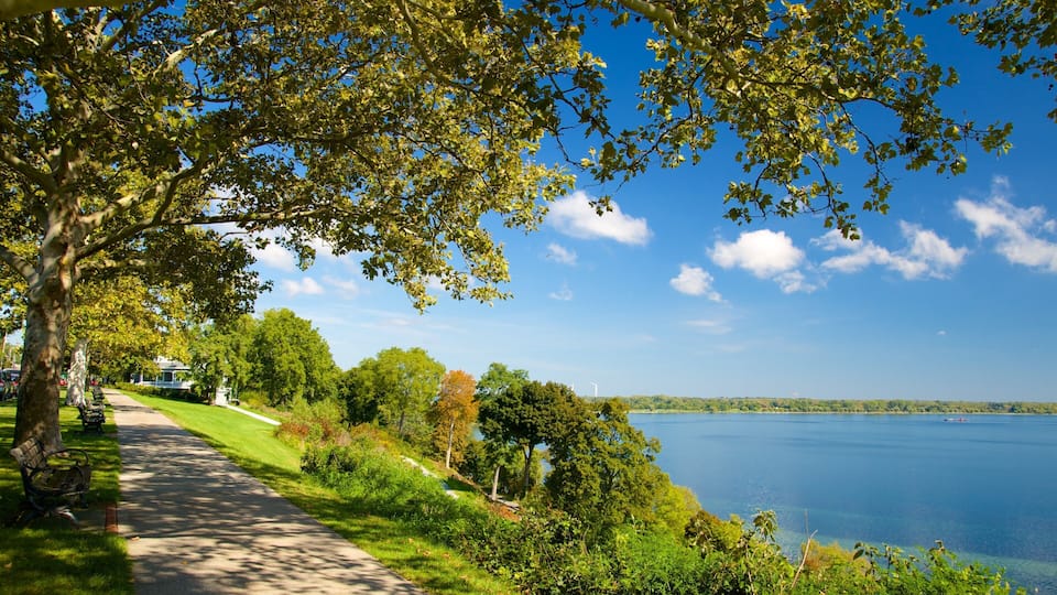 A lakeside path with trees and a bench, overlooking a calm lake with a distant shoreline.