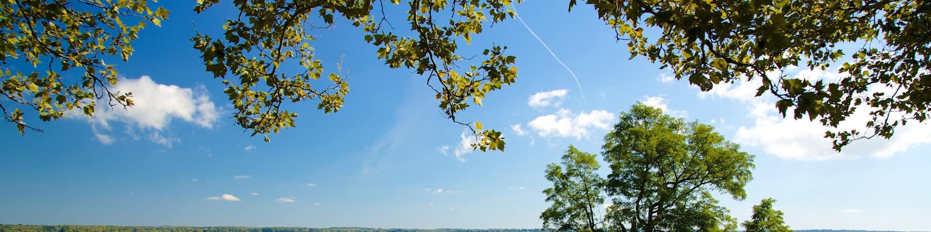 Geneva which includes a lake or waterhole and tranquil scenes