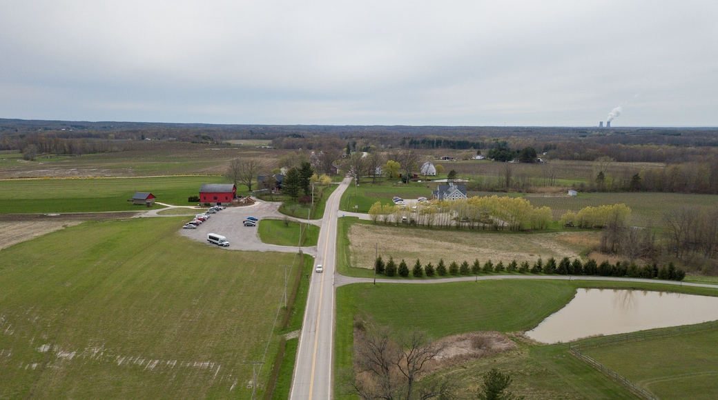 Wine County, Geneva, Ohio, Midwest wine field, midwest, countryside, farm, wine, aerial