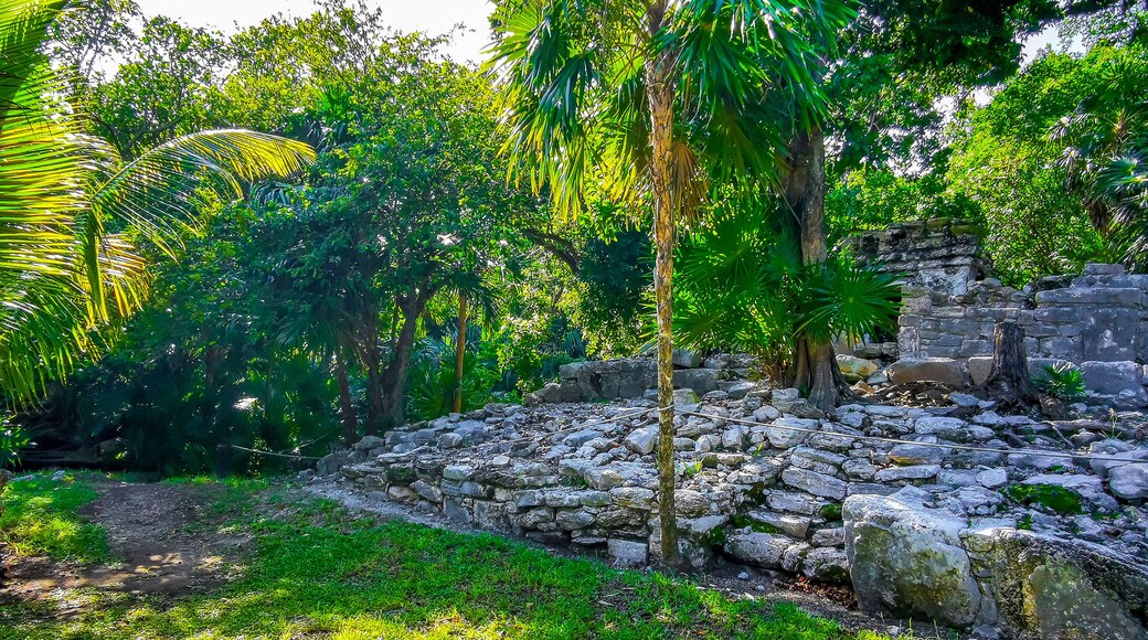 Xaman Ha Maya Ruins archeological site Playa del Carmen Mexico.