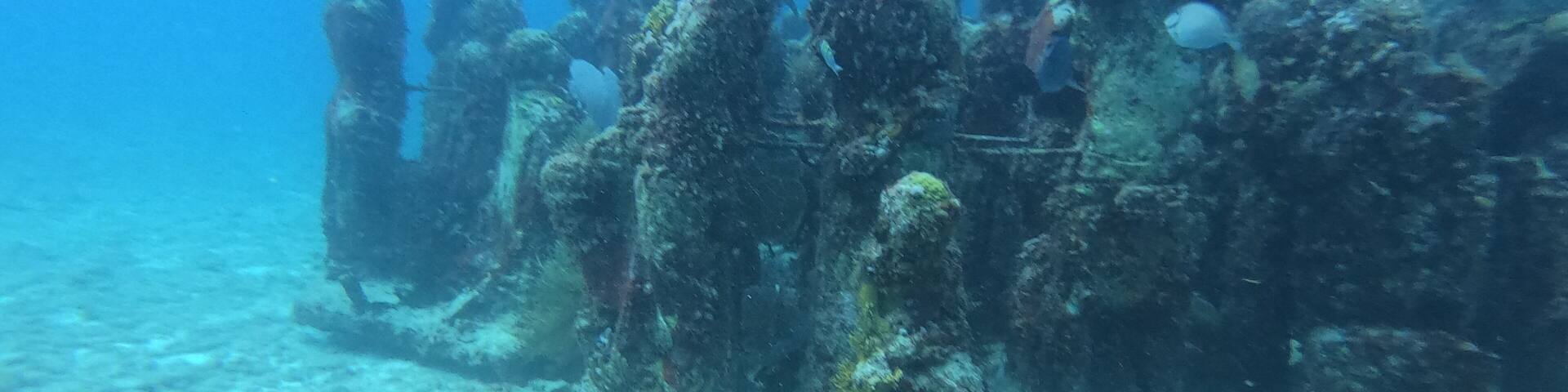 Loads of fun in diving in MUSA. Not common to find an underwater museum. Even if it has been sat up only in 2013, you can see that nature is already taking the space for itself and loads of corals are already growing on the statues.