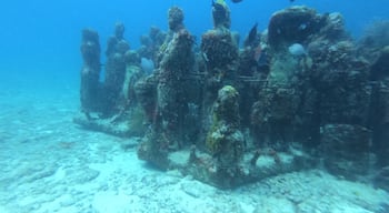 Loads of fun in diving in MUSA. Not common to find an underwater museum. Even if it has been sat up only in 2013, you can see that nature is already taking the space for itself and loads of corals are already growing on the statues.