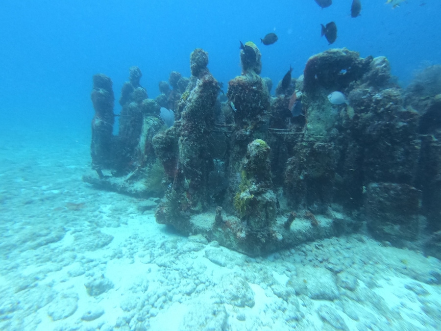 Loads of fun in diving in MUSA. Not common to find an underwater museum. Even if it has been sat up only in 2013, you can see that nature is already taking the space for itself and loads of corals are already growing on the statues.