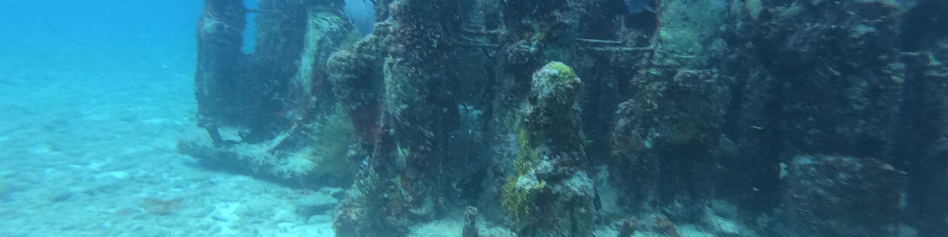 Loads of fun in diving in MUSA. Not common to find an underwater museum. Even if it has been sat up only in 2013, you can see that nature is already taking the space for itself and loads of corals are already growing on the statues.