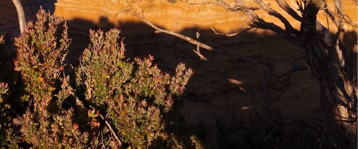 Loch Ard Gorge, most dramatic part of Great Ocean Road- Victoria Australia
