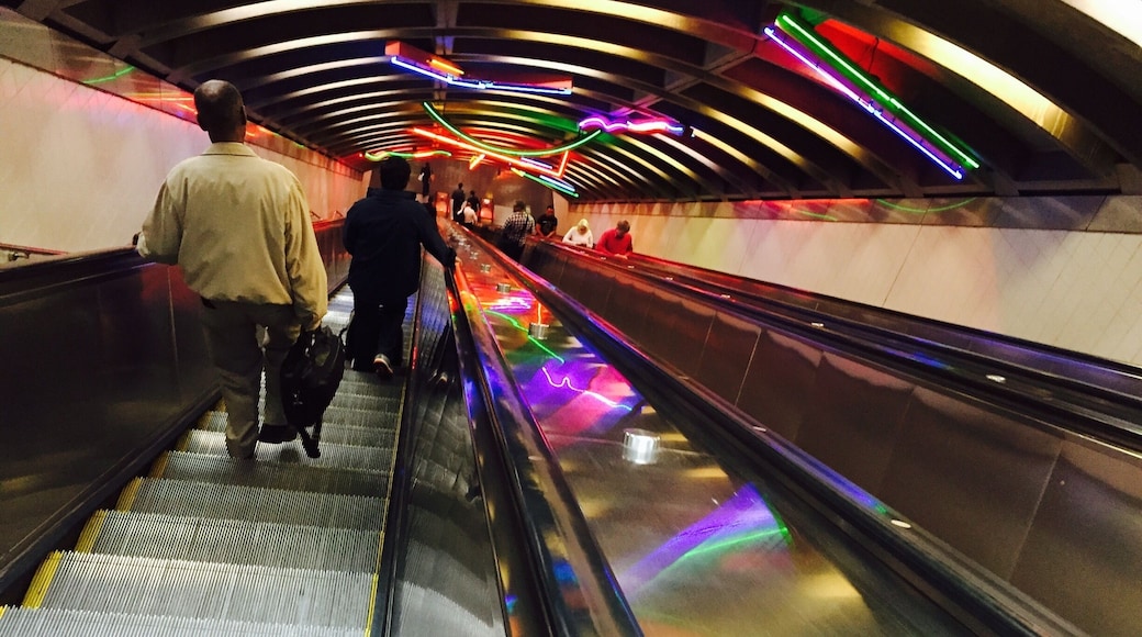 The biggest escalator