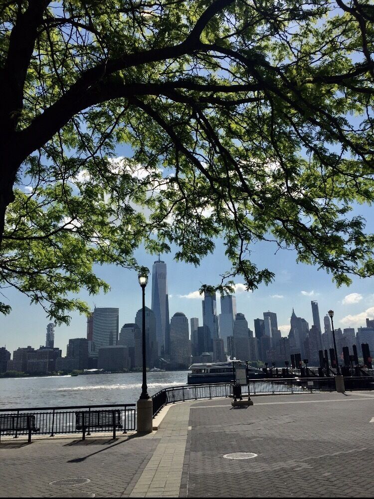 A riverside walkway with a city skyline in the background.