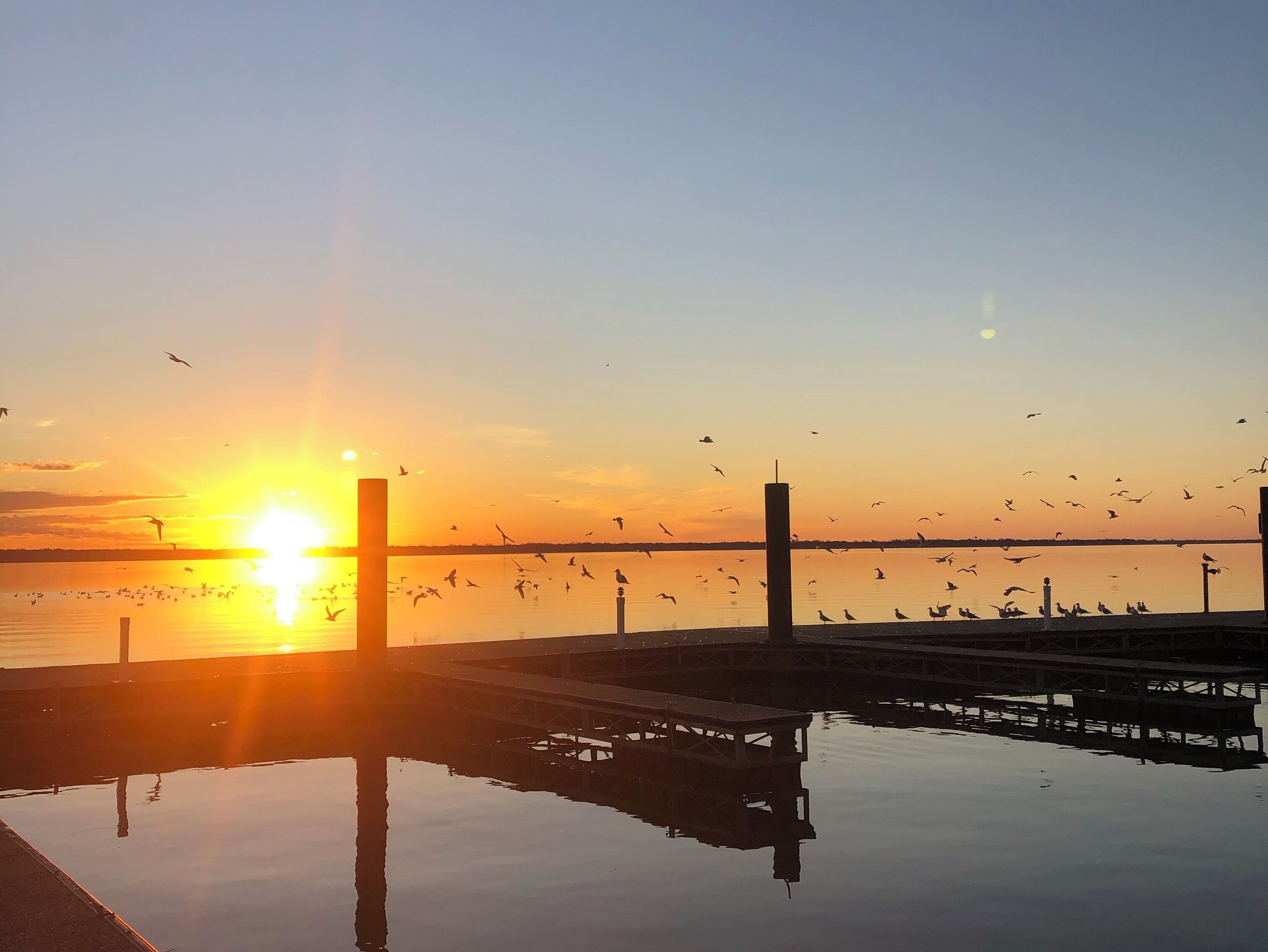 Had a nice sunrise view on the lake with the birds flying around