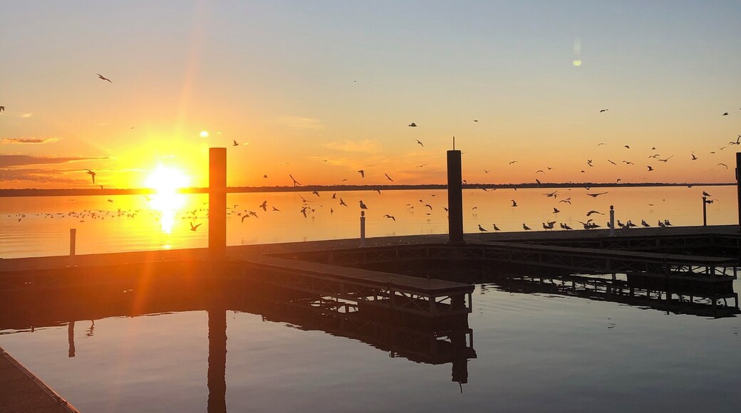 Had a nice sunrise view on the lake with the birds flying around