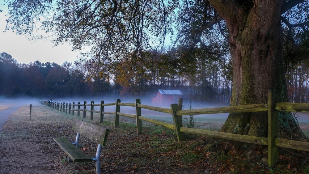 A bench and an old wooden fence by the greenway under a mighty oak tree with a red barn in the background.