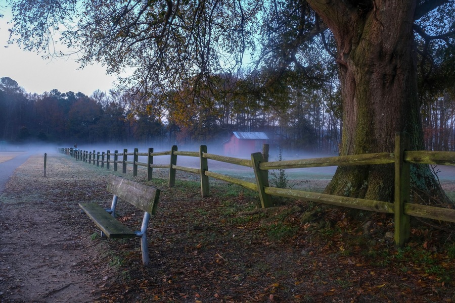 A bench and an old wooden fence by the greenway under a mighty oak tree with a red barn in the background.