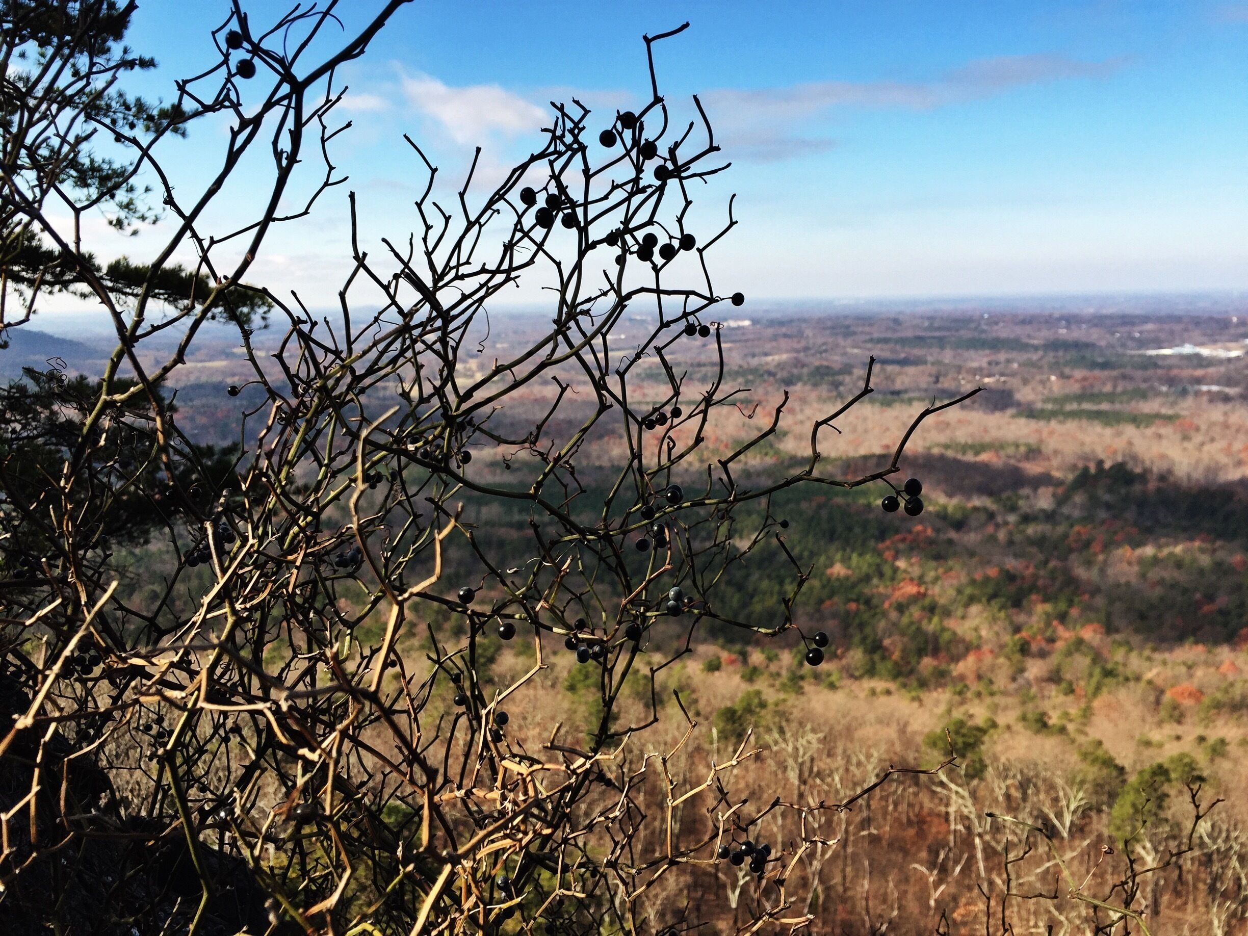 The hike to Kings Pinnacle isn't too difficult, but the view is great!