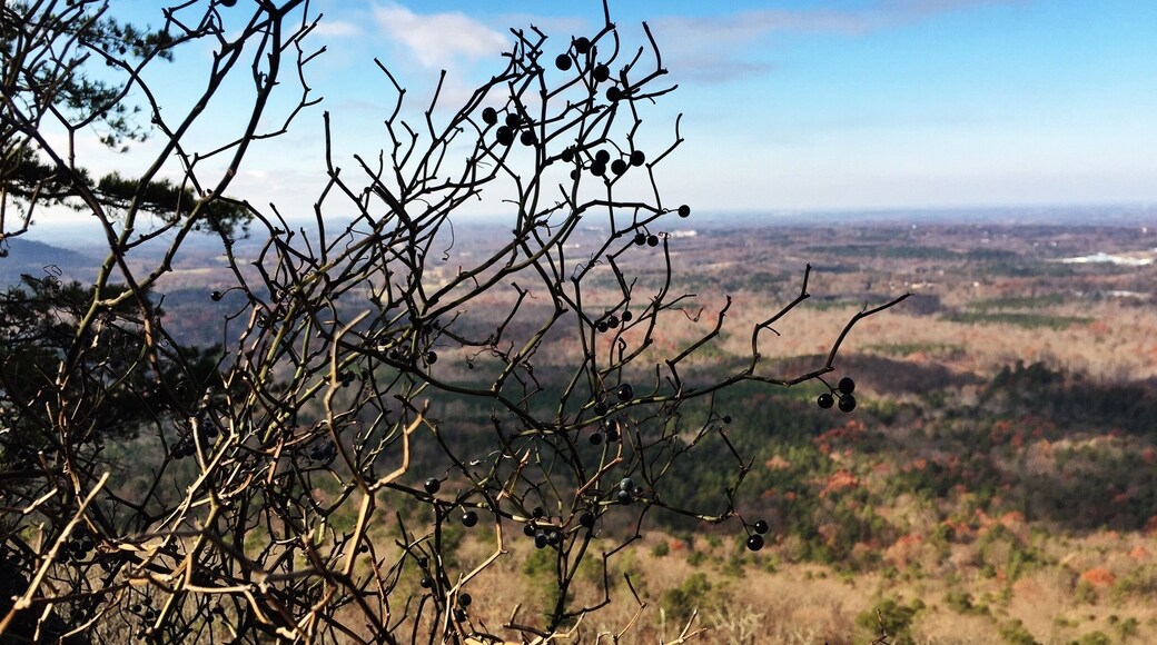 The hike to Kings Pinnacle isn't too difficult, but the view is great!