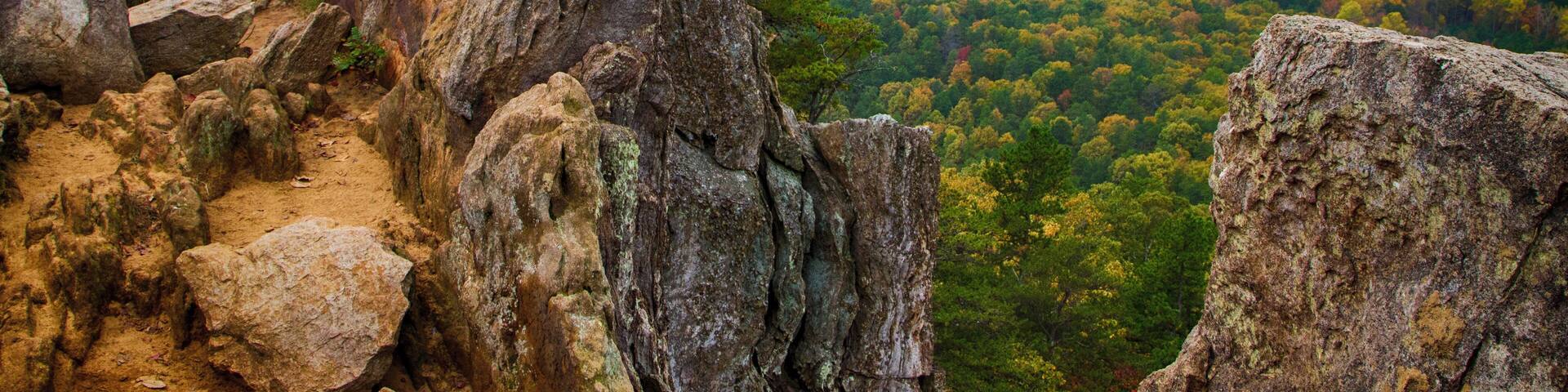Crowders Mountain State Park has a wealth of great trails which end with great views of North Carolina piedmont. The two main destinations are Crowders Mountain (2.8 mile walk from Sparrow Springs Access) or the Pinnacle or King's Pinnacle. The Pinnacle trail is a pleasant 2 miles trek uphill through rich forest. The last little bit has some rock scrambling with signs that urge carefulness. But the views are stupendous, especially with fall colors in full display. (About 45 minutes west of Charlotte, NC)