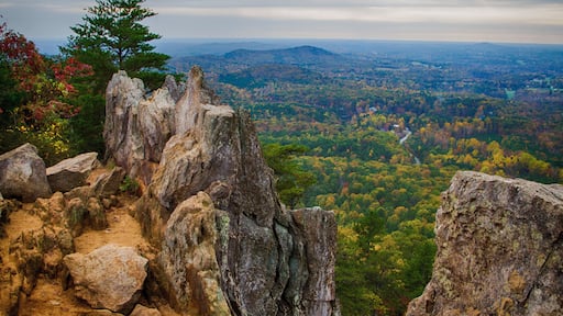 Crowders Mountain State Park has a wealth of great trails which end with great views of North Carolina piedmont. The two main destinations are Crowders Mountain (2.8 mile walk from Sparrow Springs Access) or the Pinnacle or King's Pinnacle. The Pinnacle trail is a pleasant 2 miles trek uphill through rich forest. The last little bit has some rock scrambling with signs that urge carefulness. But the views are stupendous, especially with fall colors in full display. (About 45 minutes west of Charlotte, NC)