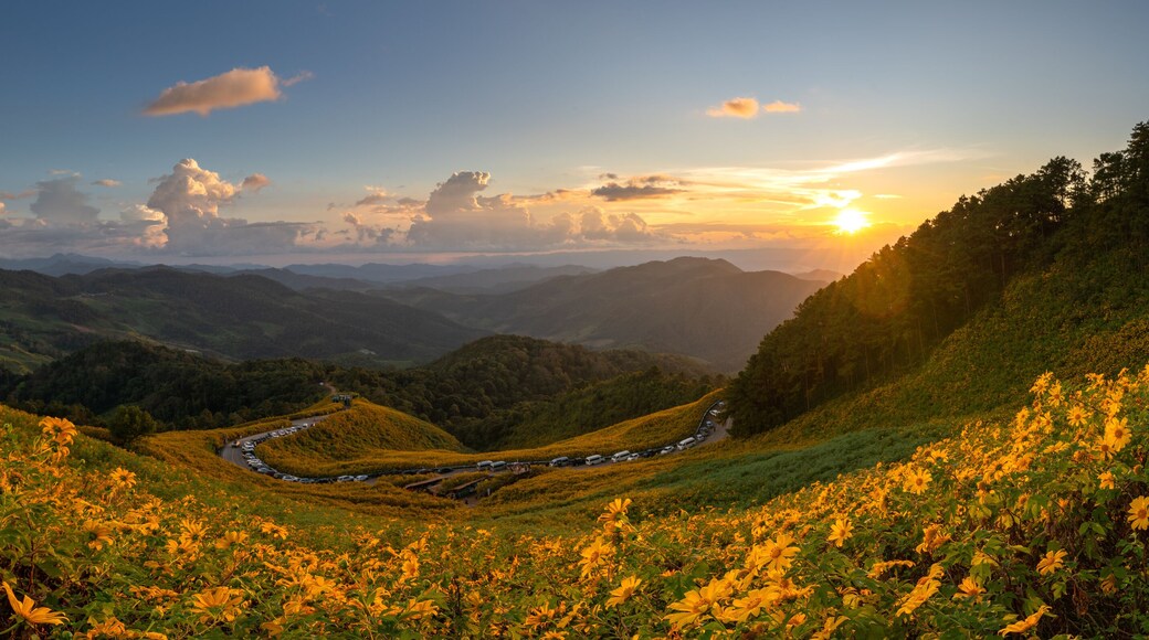 Beautiful panoramic view of a yellow flower field, also known as Thung Bua Tong, located at Doi Mae U Kho, Khun Yuam District, Mae Hong Son Province, Thailand.