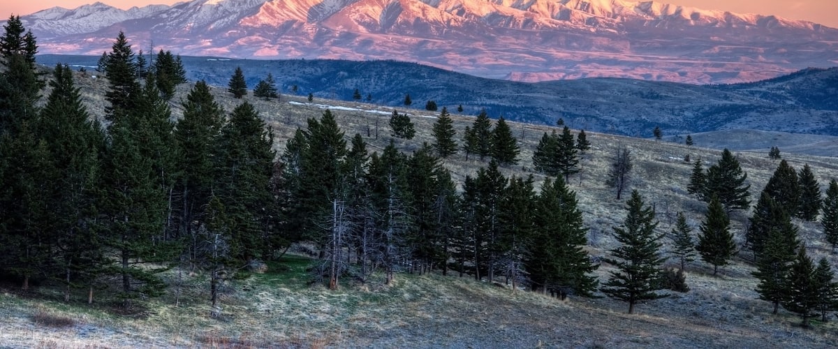 A mountain range with snow-capped peaks, a forested foreground, and a clear sky.